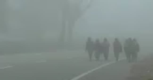 Dense Fog Likely To Envelope Several Districts In Odisha, Yellow Alert Issued