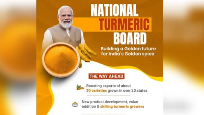 National Turmeric Board To Ensure Better Opportunities For Innovation, Global Promotion: PM Modi