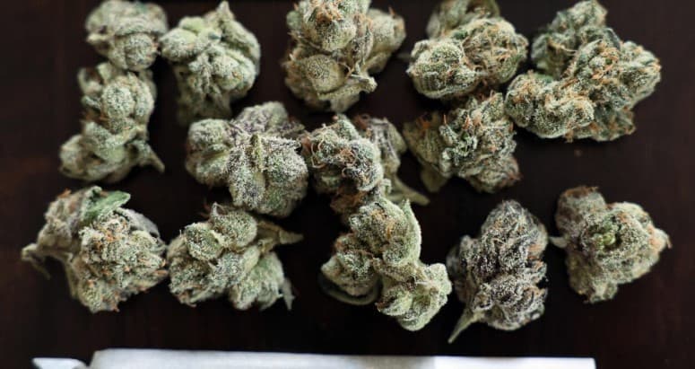 Marijuana Worth Rs 7 Cr Seized At Bhubaneswar Airport, One Arrested