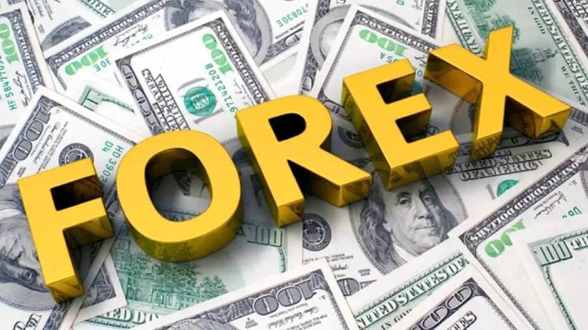Slump In India's Forex Reserves Continues, Hits 10-Month Low At Usd 625.87 Bn