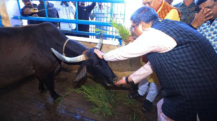 Sambalpur: Union Education Minister Pradhan Attends 125th Foundation Day of Sri Krishna Gaushala