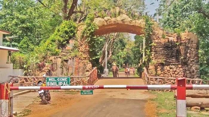 AI Camera Comes To Aid As Two Hunters Arrested From Similipal Sanctuary