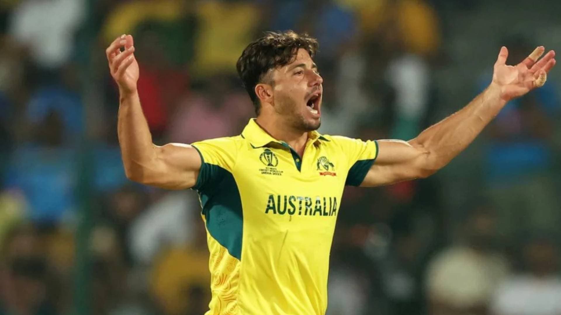 Marcus Stoinis Announces Surprise Retirement From ODIs With Immediate Effect