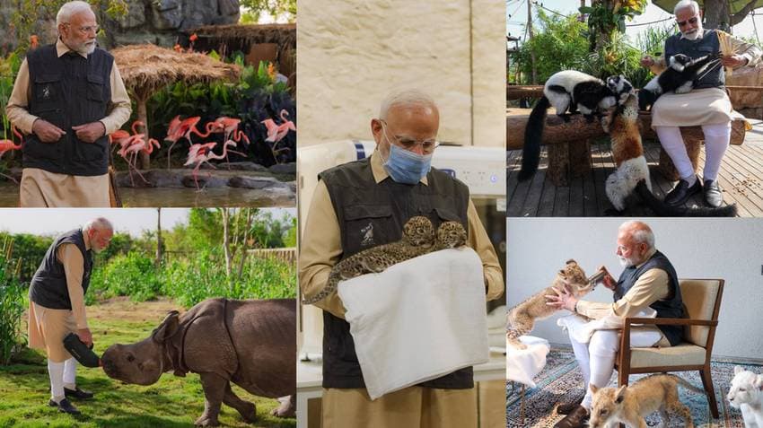 Vantara Wildlife Centre Vibrant Example Of Centuries-Old Ethos To Protect Those We Share Planet With: PM Modi