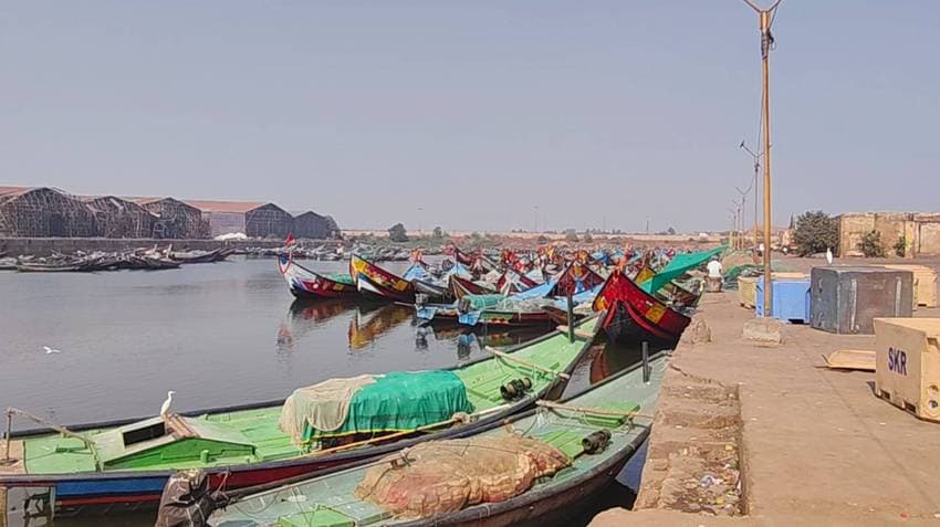 Ganjam: Adani Foundation Installs Solar-Powered Street Lights at Aryapalli Fishing Jetty Route