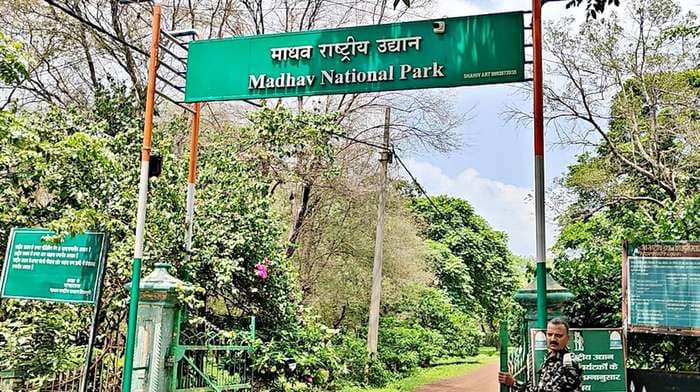 Always At Forefront Of Protecting Animals: PM Modi On Opening Of India's 58th Tiger Reserve