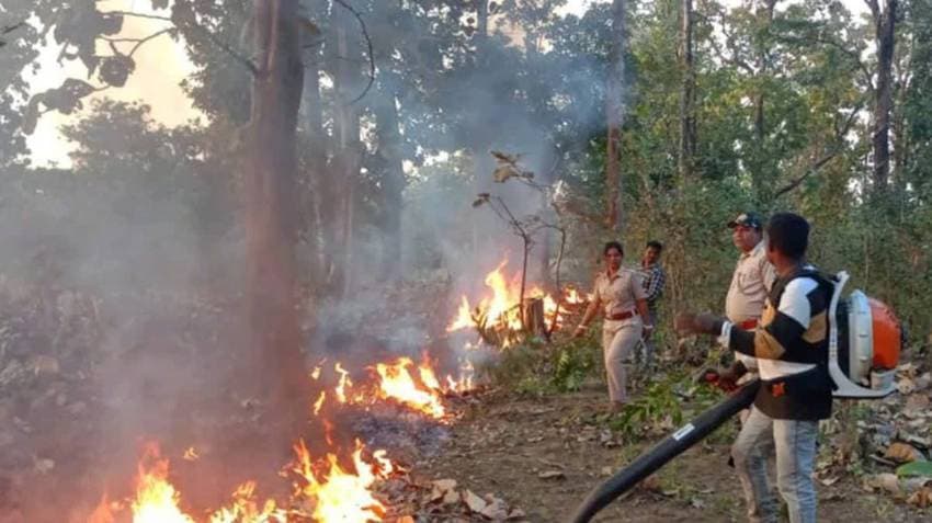Odisha Govt’s Aim Is To Prevent Fires In Dense Forests, Says FE&CC Minister Ganesh Ram Singhkhuntia