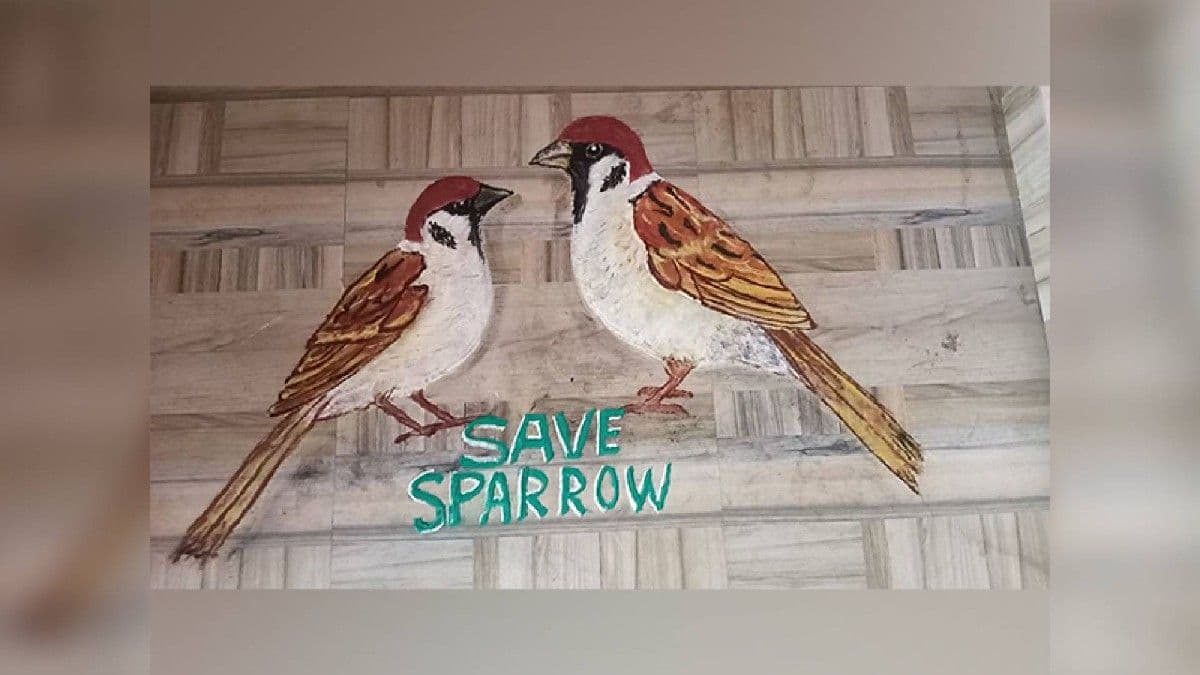Odisha Artist Commemorates World Sparrow Day With Rangoli Artwork, Urges People To Protect Them