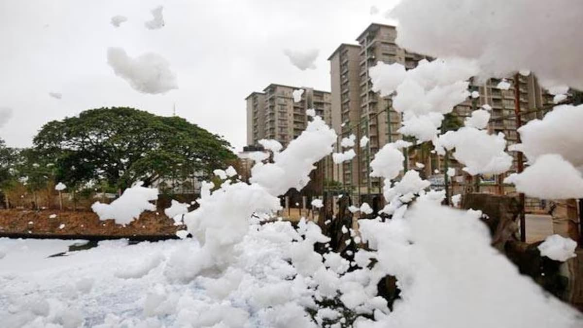 Snowfall Out Of The Blue Takes The Spotlight In Bengaluru