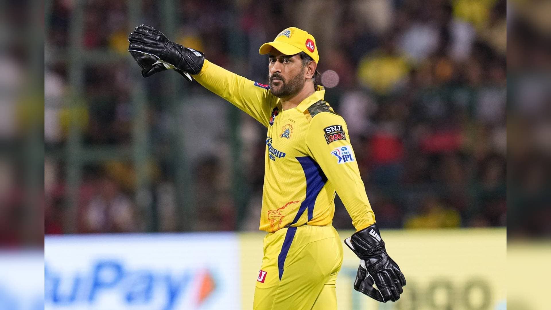 Chepauk's Whistles & Wankhede's Cheers: MS Dhoni's Eternal Bonds