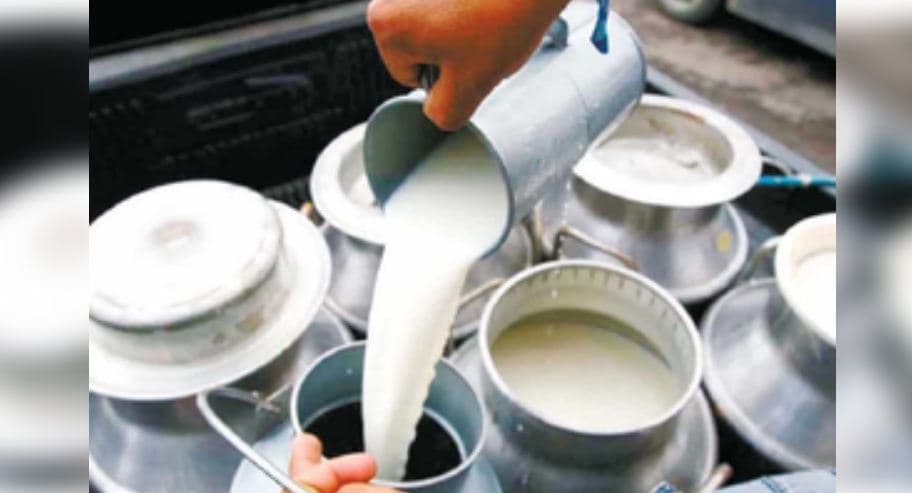 India’s Milk Production Surges 63.6 Pc In 10 Years, Accounts For 25 Pc Of World Output