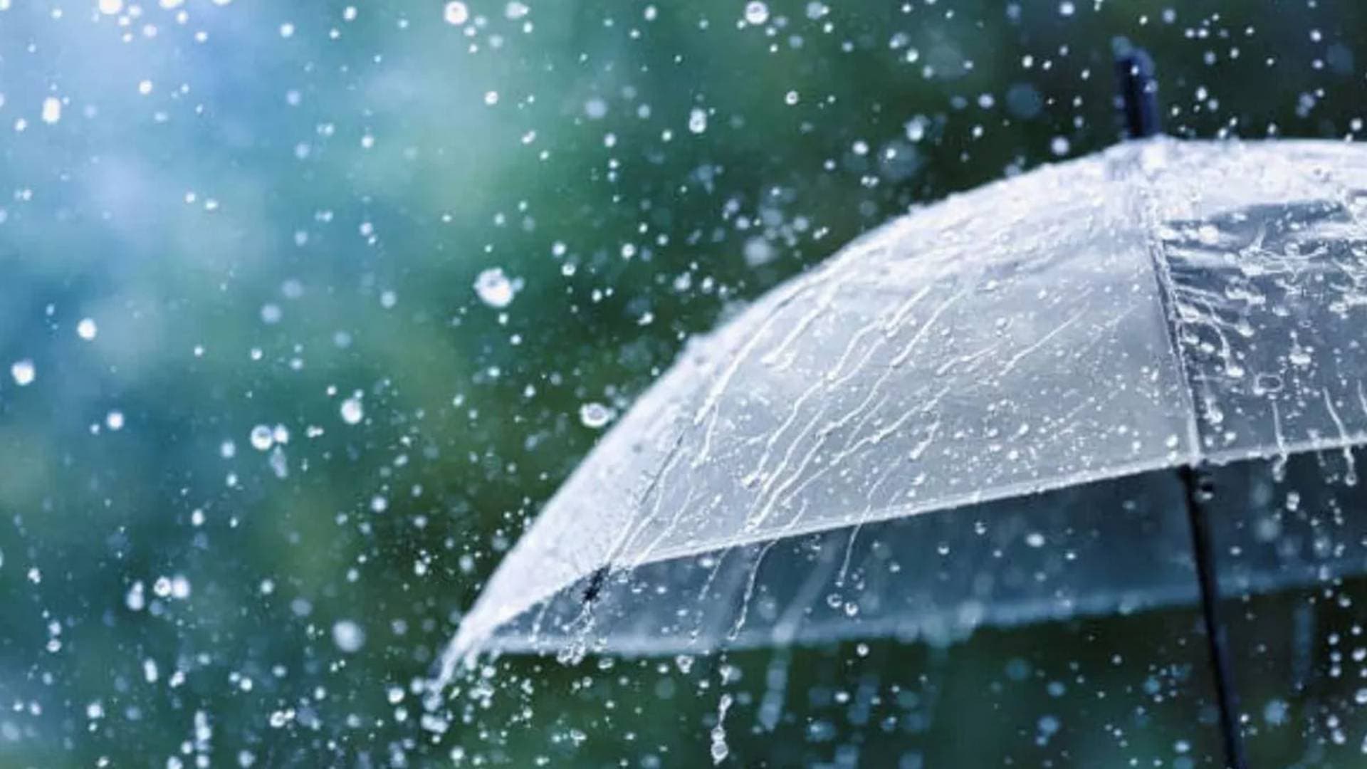 Weather Alert: Light Rainfall, Gusty Winds To Hit Odisha Over Next Week
