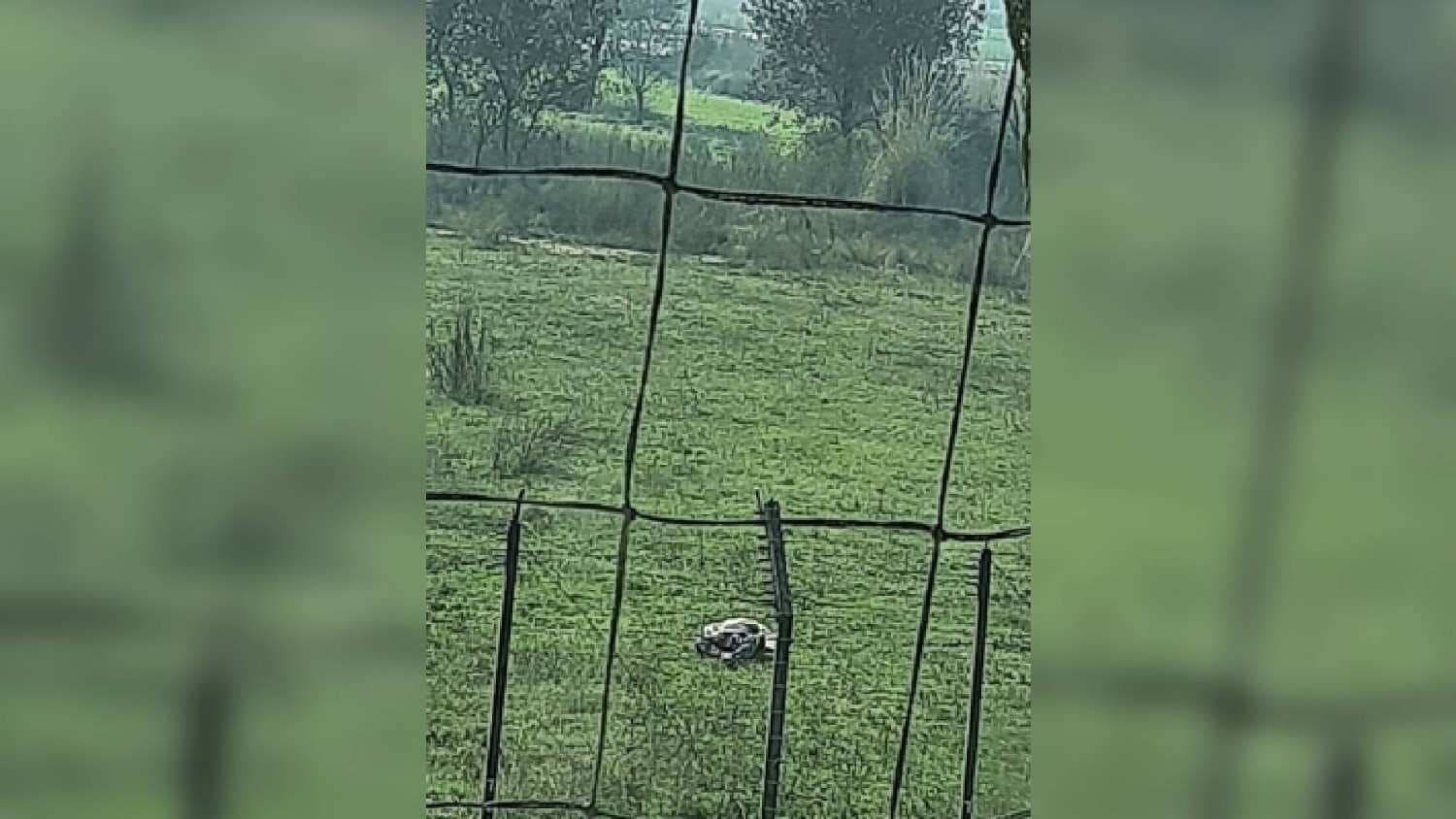 Infiltration Bid Foiled On Jammu IB; Intruder Killed By BSF Troops