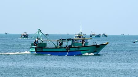 Sri Lanka Releases 14 Indian Fishermen During PM Modi's Visit