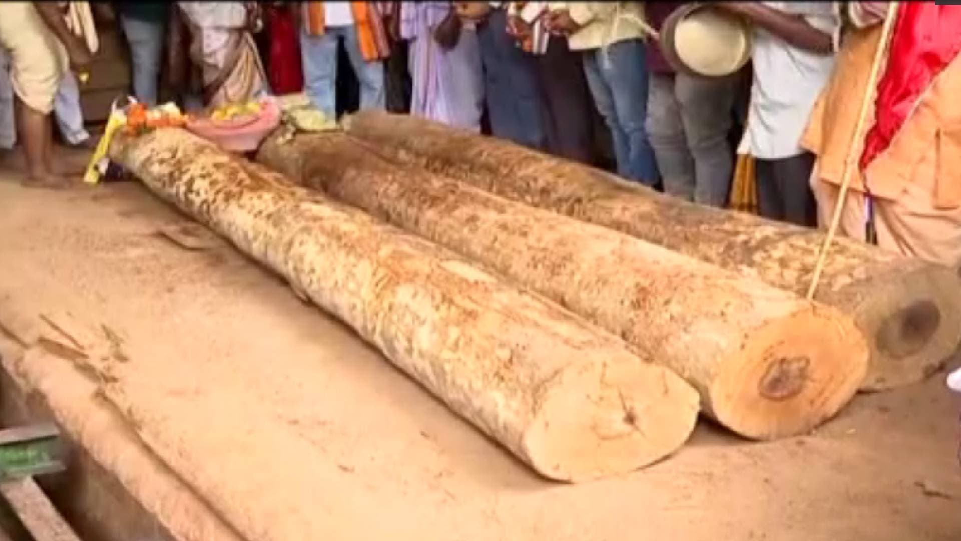 Sacred Preparations Begin For Lord Jagannath’s Iconic Rath Yatra
