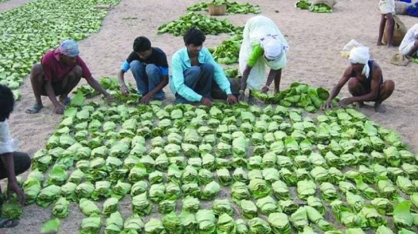 Dy CM Singhdeo Meets Kendu Leaf Workers, Approved Partial Allocation Of Rs 50 Crore
