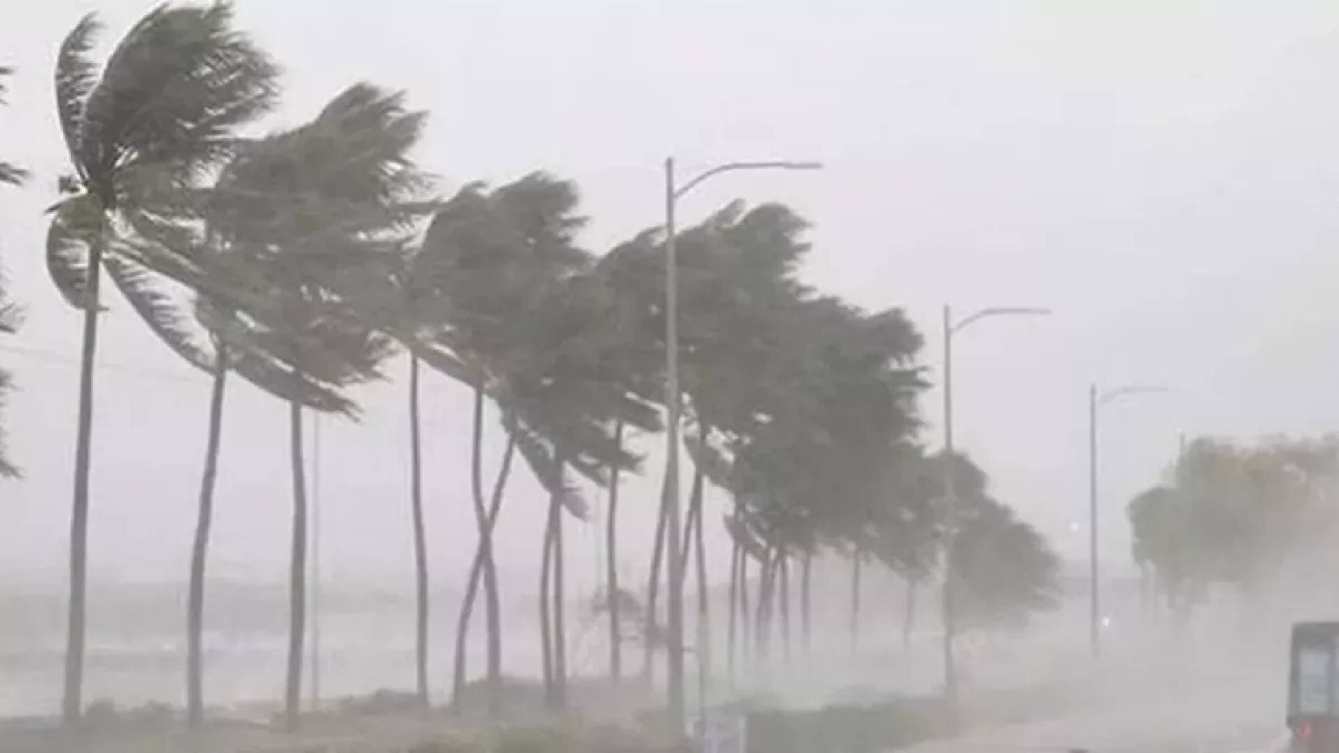 Freak Storms Cause 19 Deaths In Bihar In 48 Hours, Destruction Of Crops; Govt Orders Compensation