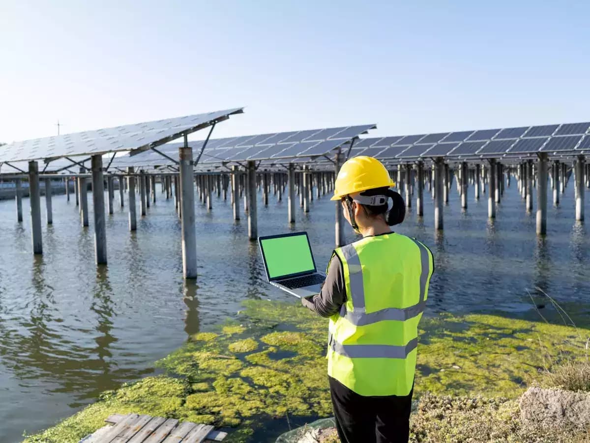 Sustainability Pays: India Sees Surge in Green Jobs and Learning