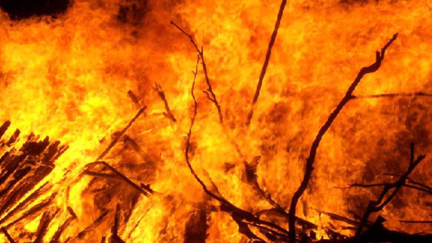 Two Houses, Six Shops Gutted In Fire In Odisha's Puri
