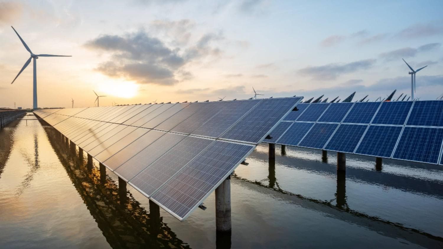 India Sees Sharp Rise In GCCs Focused On Renewable Energy Sector