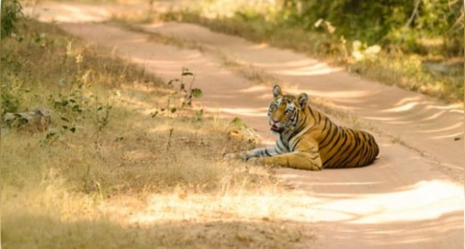 MP Govt Names Wildlife Sanctuary After B.R. Ambedkar