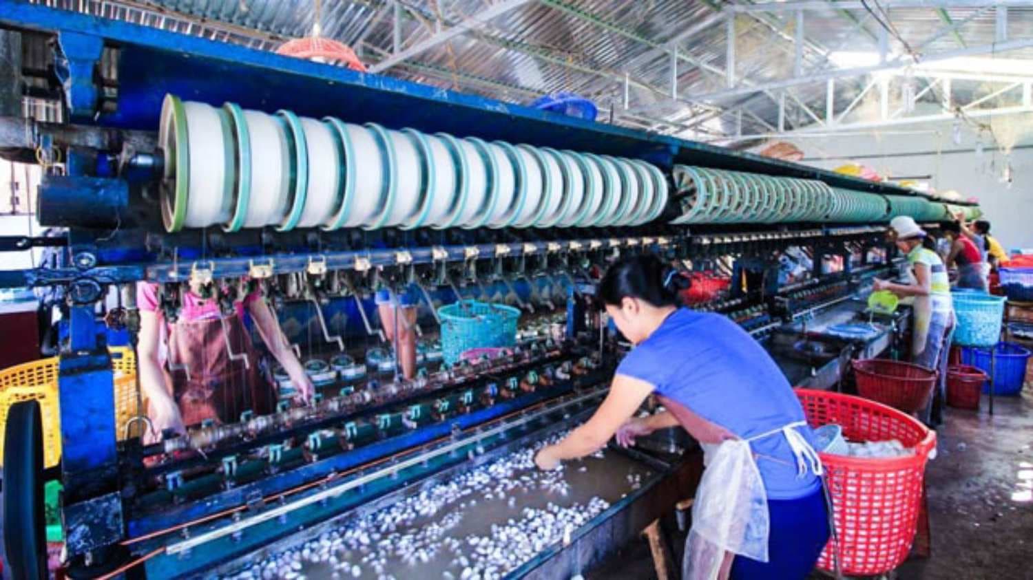 India’s Raw Silk Production Rises Steadily, Exports Surge In Last 6 Years