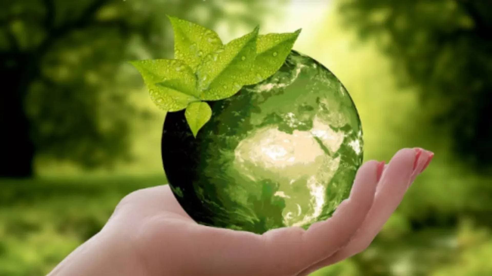 Modi Govt Working For Sustainability With 'Unwavering' Commitment, Says HM Shah On Earth Day