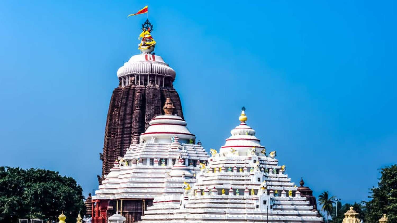 Darshan Halted As Puri Jagannath Temple Observes Sacred 'Maha Snana' Ritual