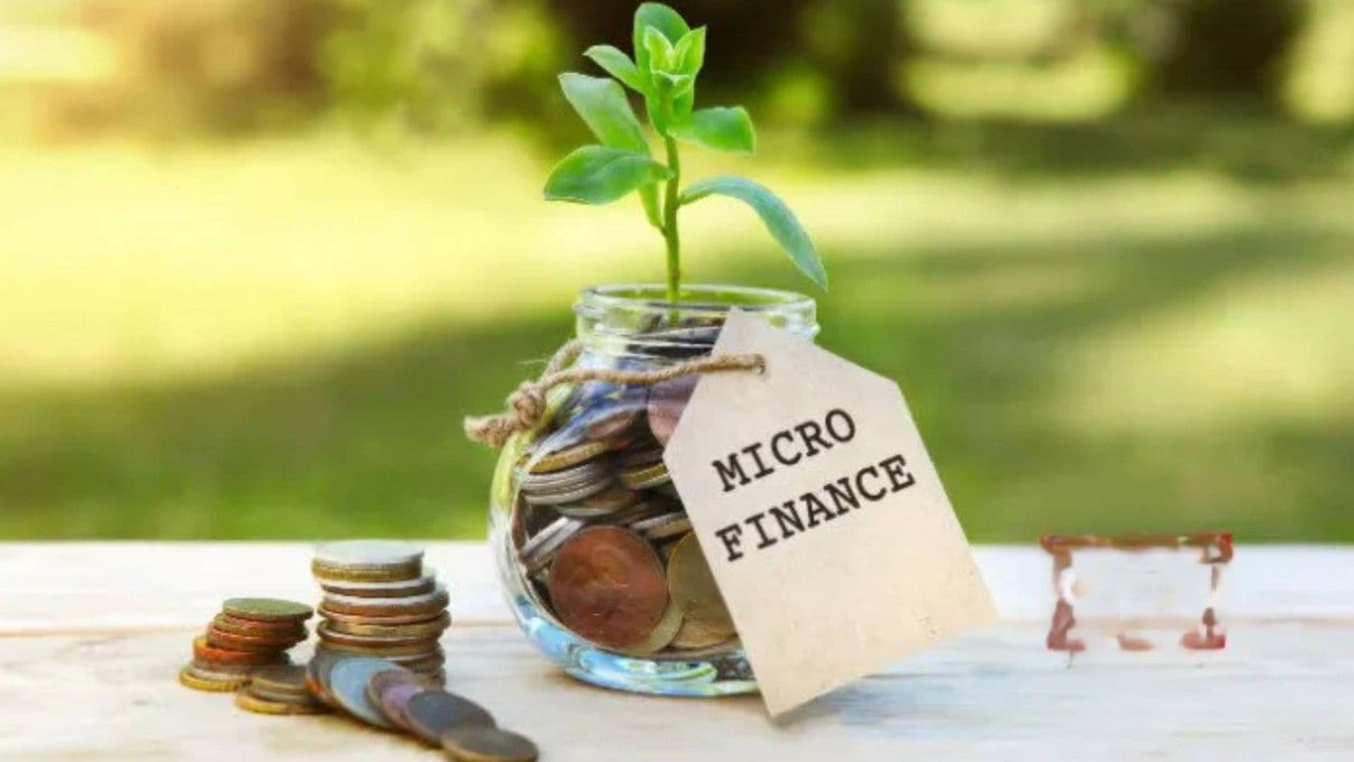 India’s Microfinance Sector Projected To Grow By 12–15 Pc In FY26