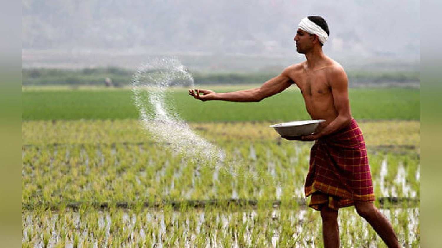 CM-KISAN Yojana: Odisha Govt Disburses Rs 1025 Cr To Over 50L Farmers On Akshaya Tritiya
