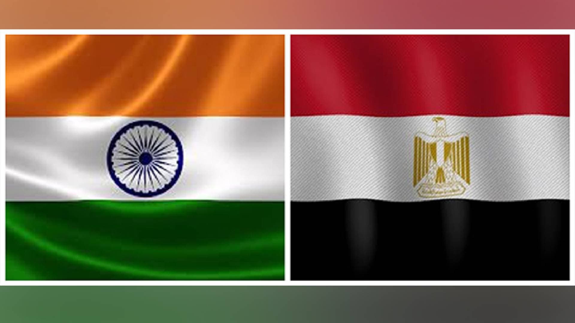 India, Egypt Agree To Strengthen Joint Efforts In Combating Terrorism
