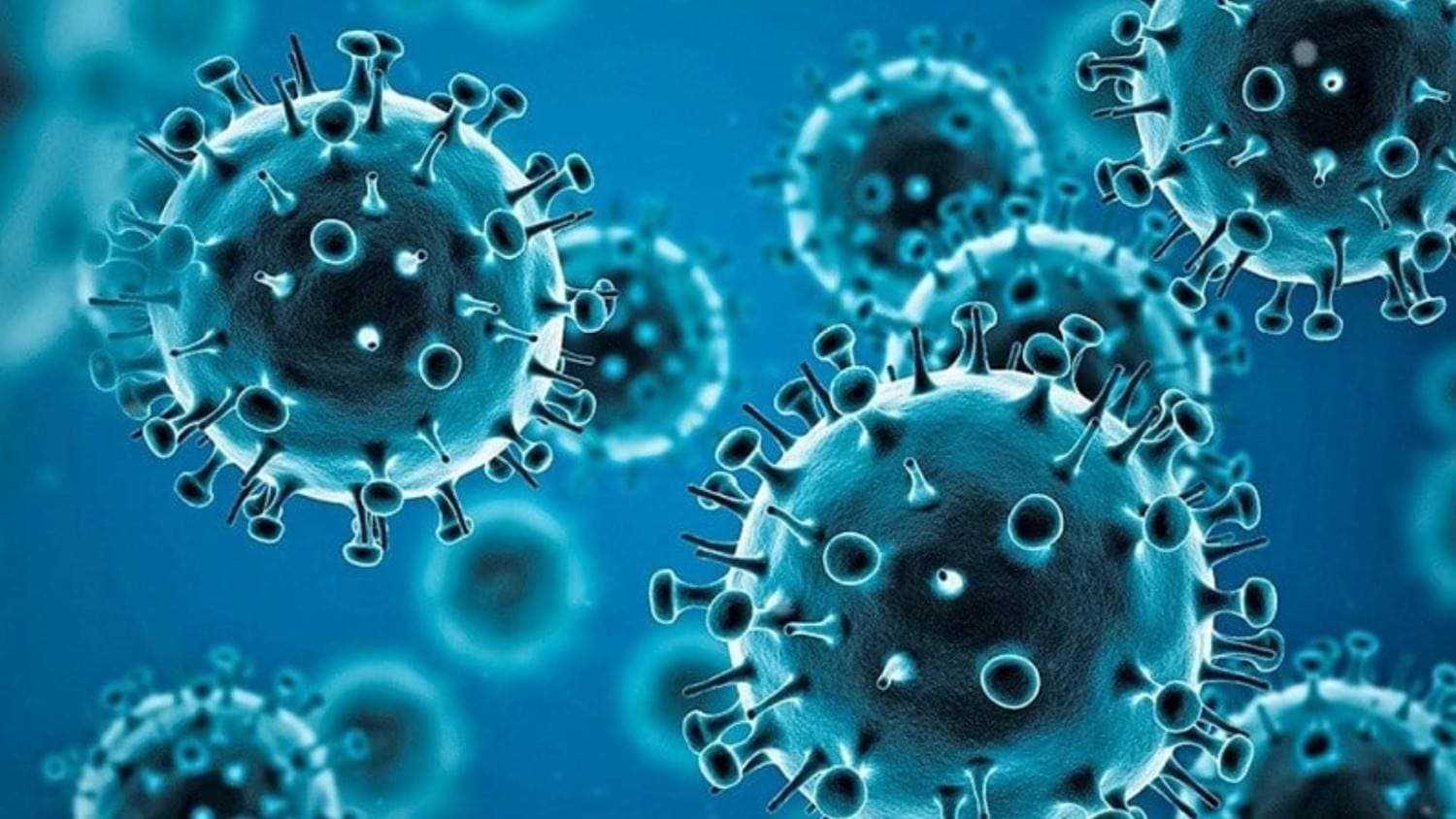 Study Finds Long Covid Biomarkers In Blood Linked To Respiratory Problems