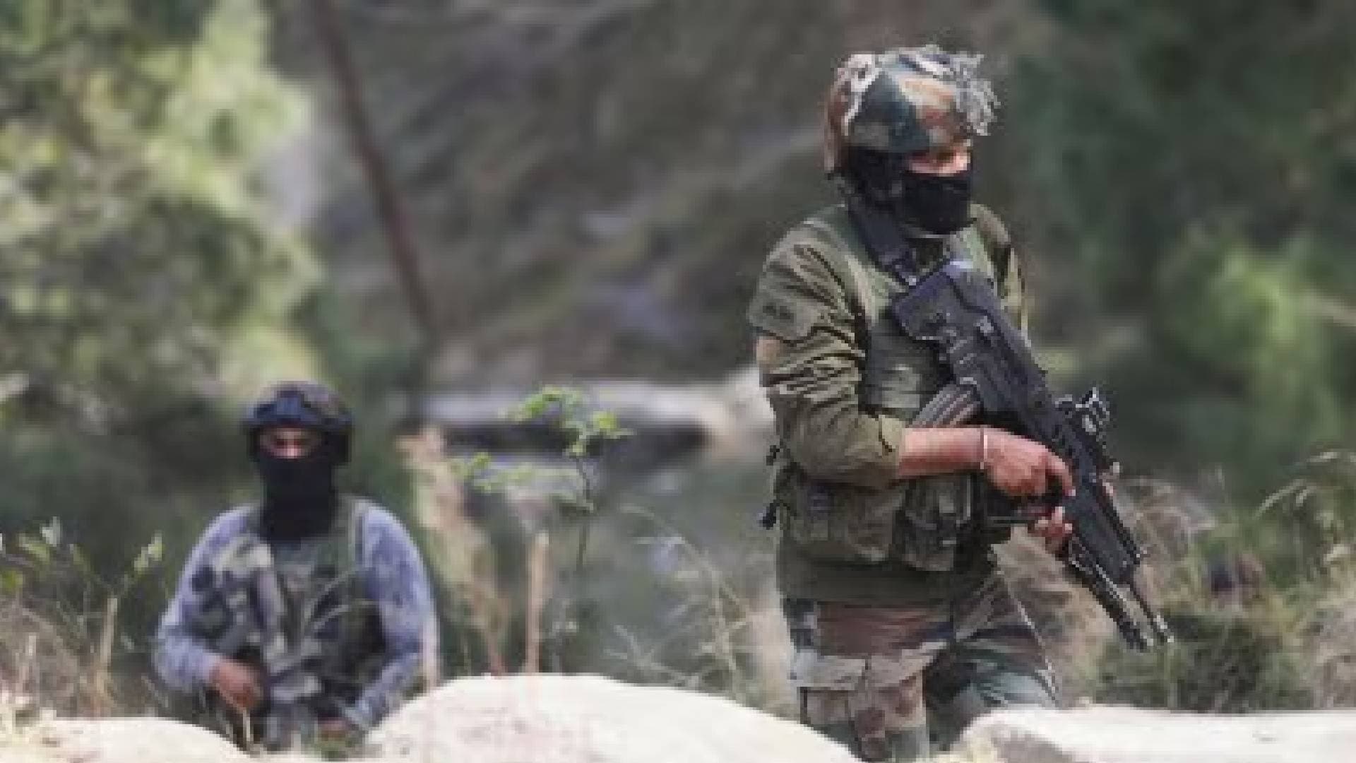 Three LeT Terrorists Killed In South Kashmir's Shopian, Search Operation Still On