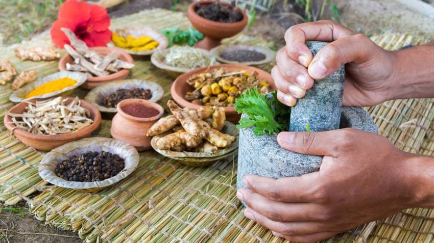 Centre Designates September 23 As New National Ayurveda Day