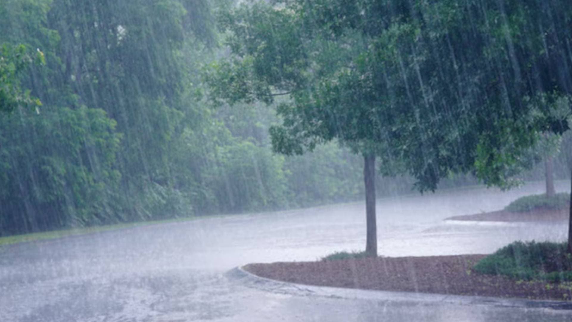 Weather Alert: Monsoon Arrives In Odisha, Intense Showers Expected