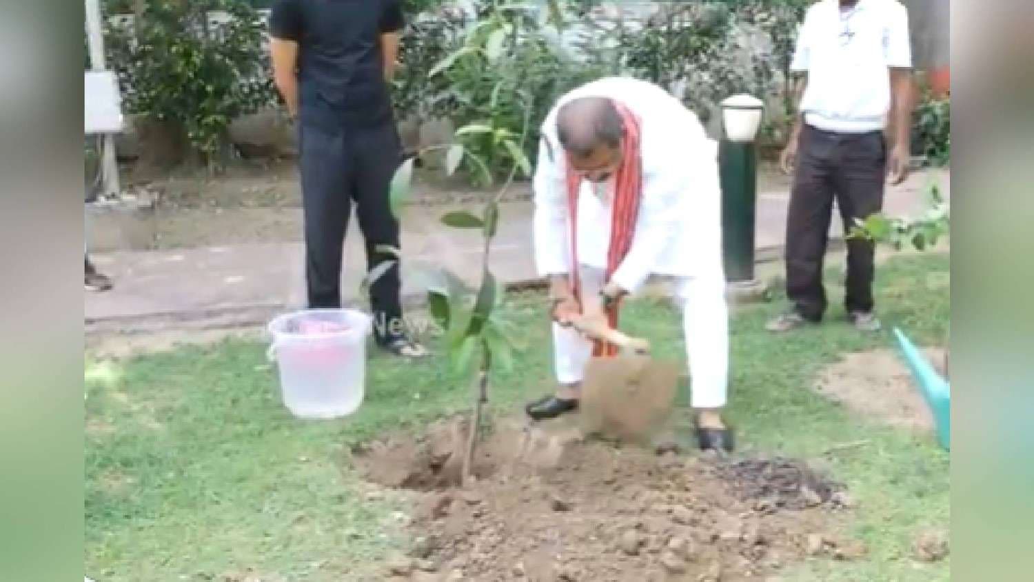 'Ek Ped Maa Ke Naam Par 2.0': Dharmendra Pradhan Plants Sapling At His New Delhi Residence