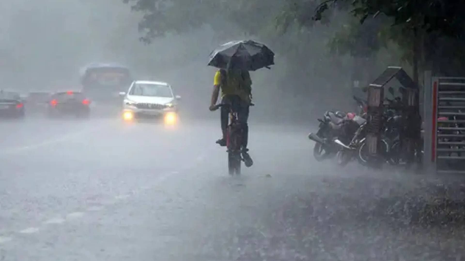 Heavy Rain Likely In Several Odisha Districts As Low-Pressure System Strengthens