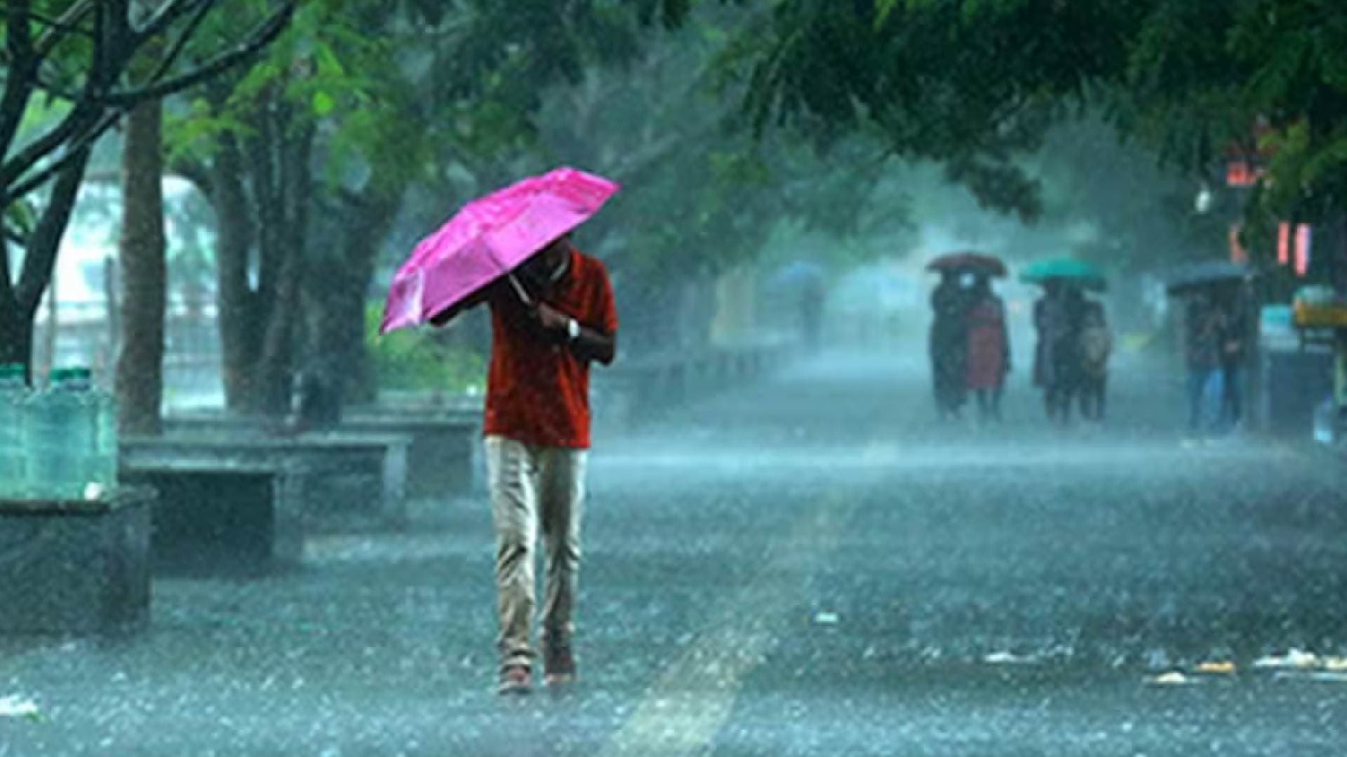 Monsoon Picks Up Pace in Odisha; Heavy Rain Forecast