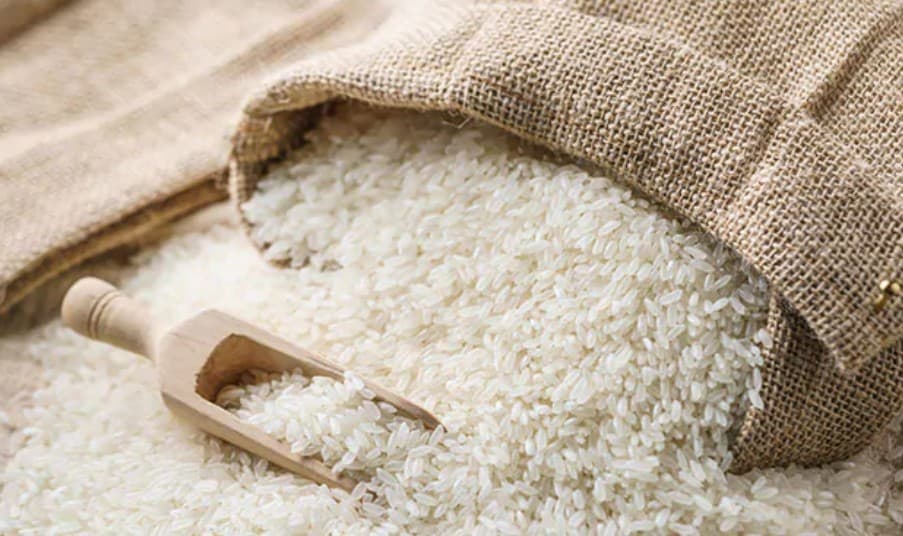 India’s Rice Exporters Hit By Israel-Iran Conflict, Shipments To Iran Halted