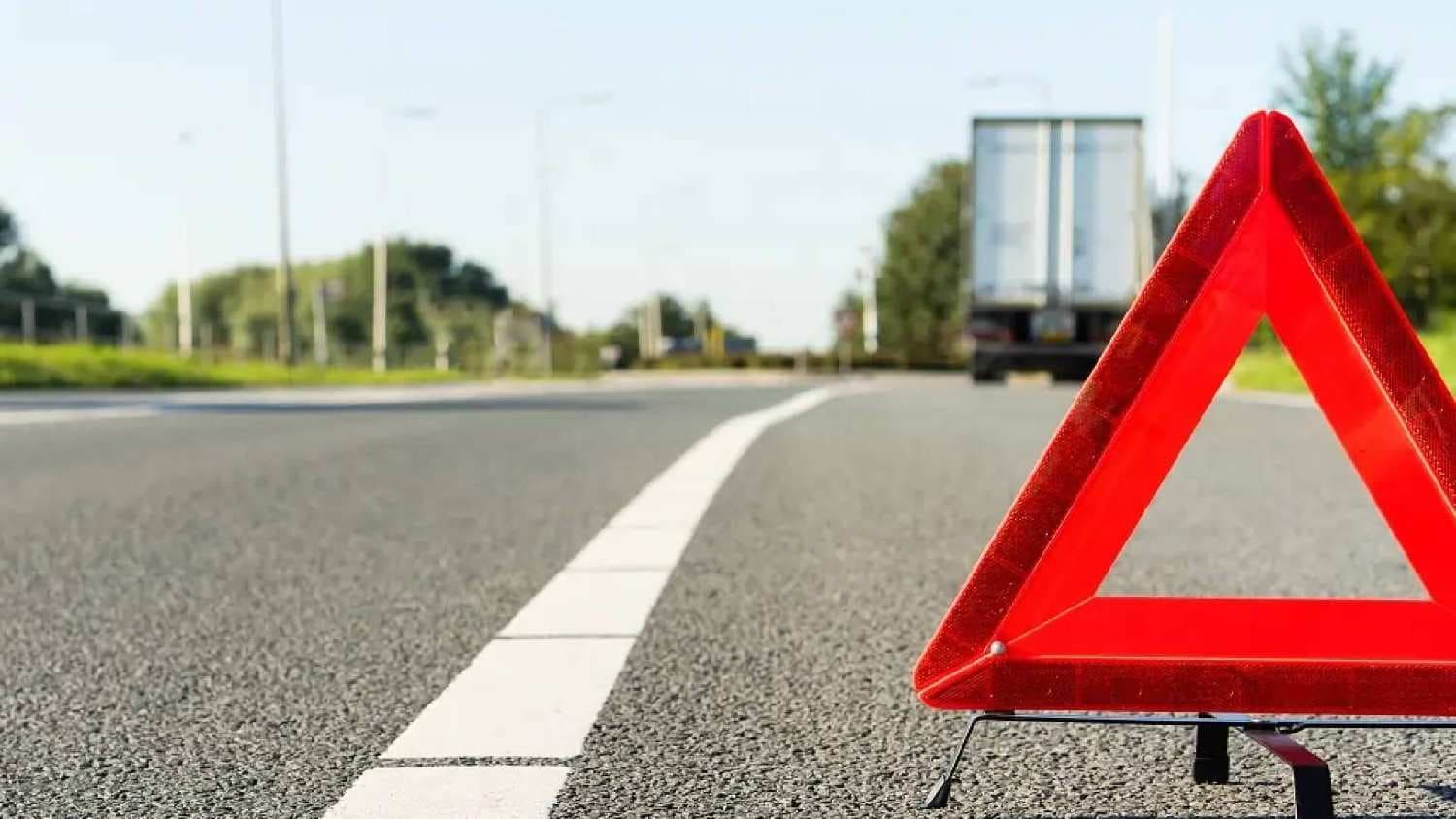 Tragic Road Mishap In Berhampur: 12 Cows Killed After Being Hit By Unknown Vehicle
