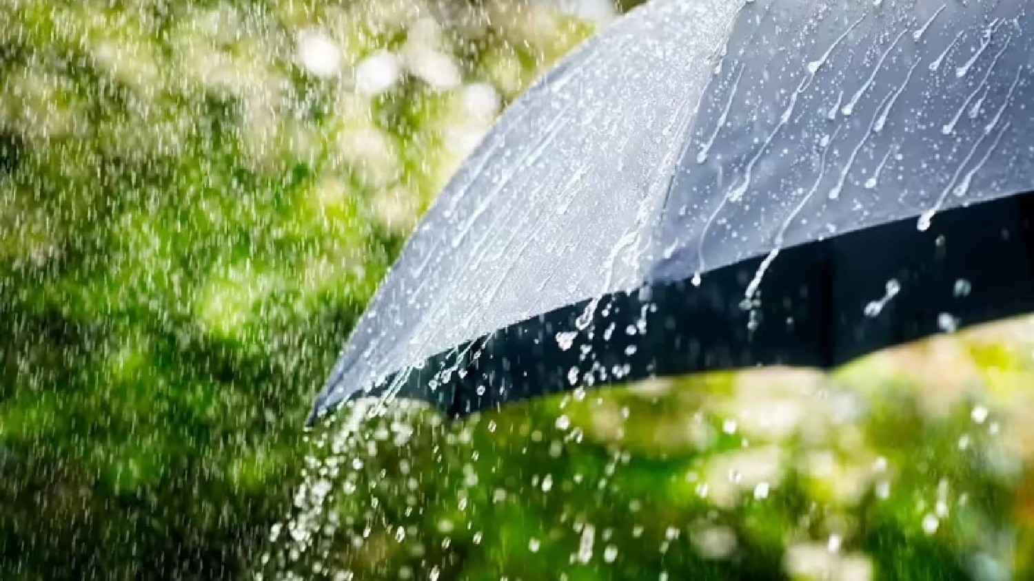 Cyclonic Circulation Likely To Form Again; Heavy Rain Forecast Across Odisha From June 25