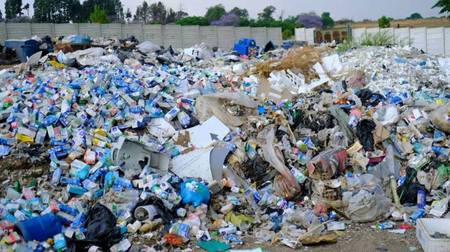 Recycled Plastics Can Harm Hormone Systems, Metabolism: Study