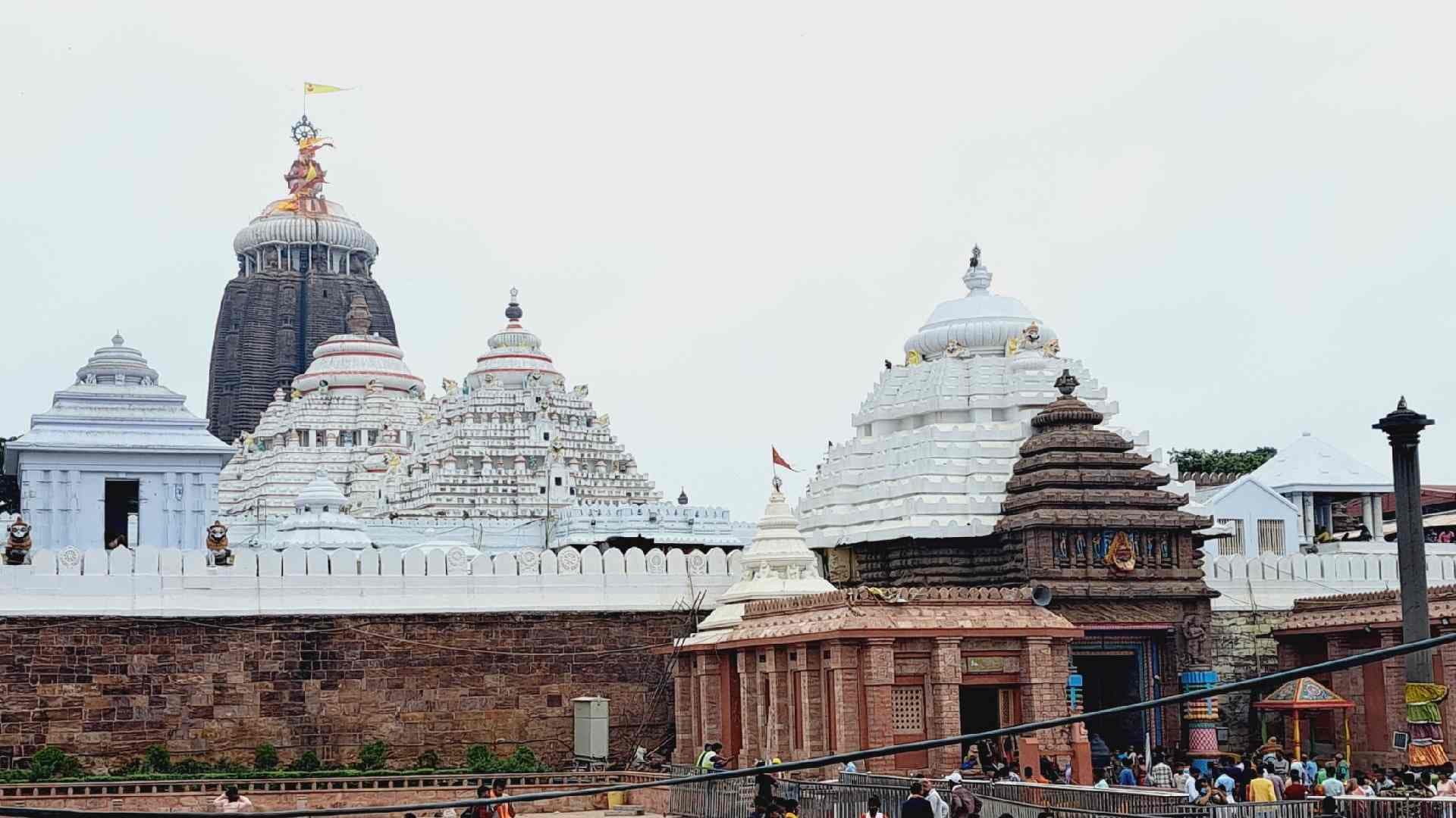 Puri Mahaprasad Goes Organic: Kalajira Rice to Grace Kotha Bhoga