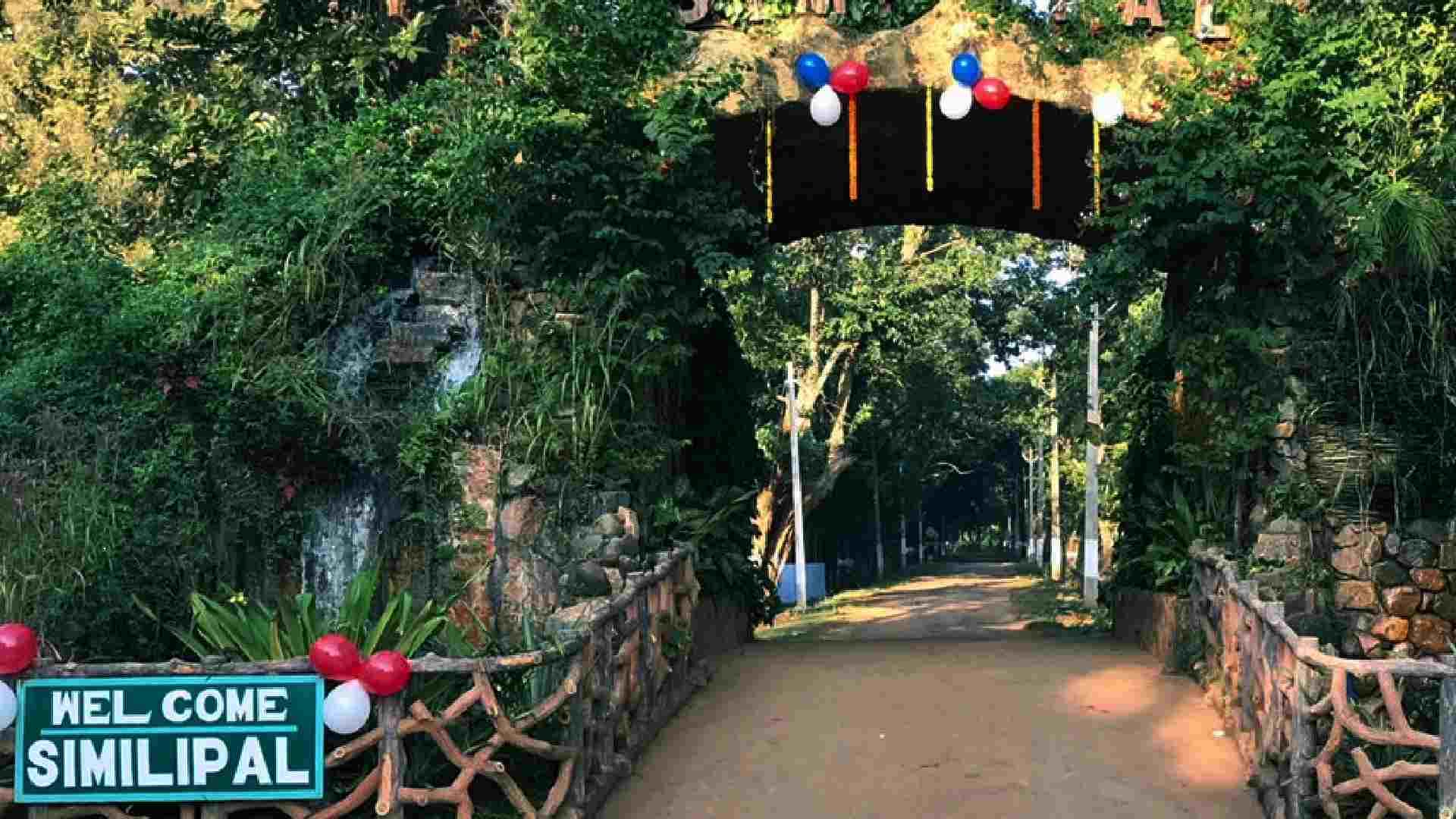 Similipal Crackdown: Three Poachers Nabbed with Guns and Ammo
