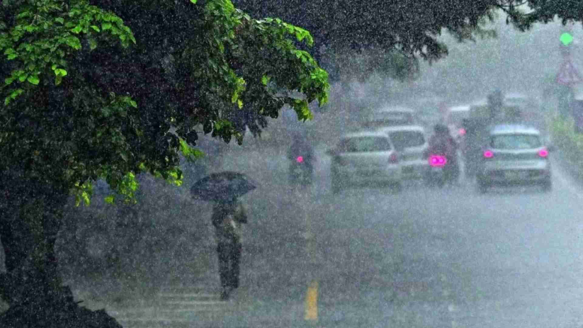 Heavy Rainfall To Lash Several Odisha Dists Over Next 4 Days: IMD