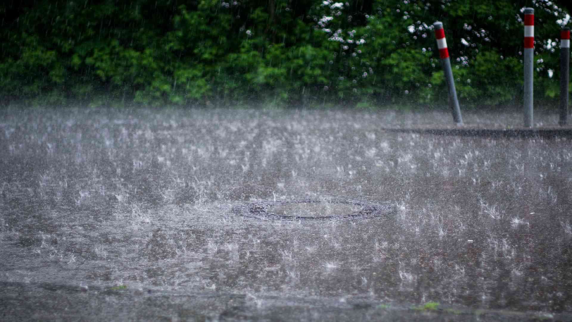 Weather Alert: Heavy Rainfall Forecast Across Odisha In Next 24 Hours