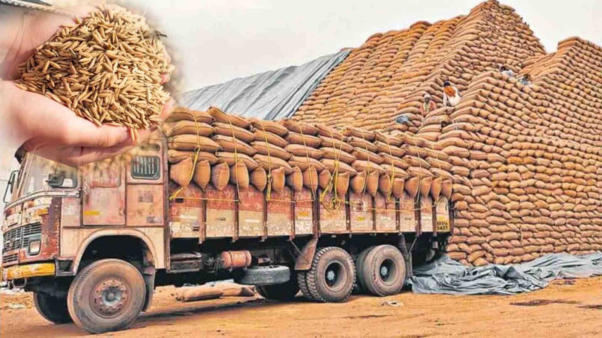 Illegal Paddy Haul on NH-26: Balangir Police Seize Chhattisgarh Trucks, Probe Smuggling Racket