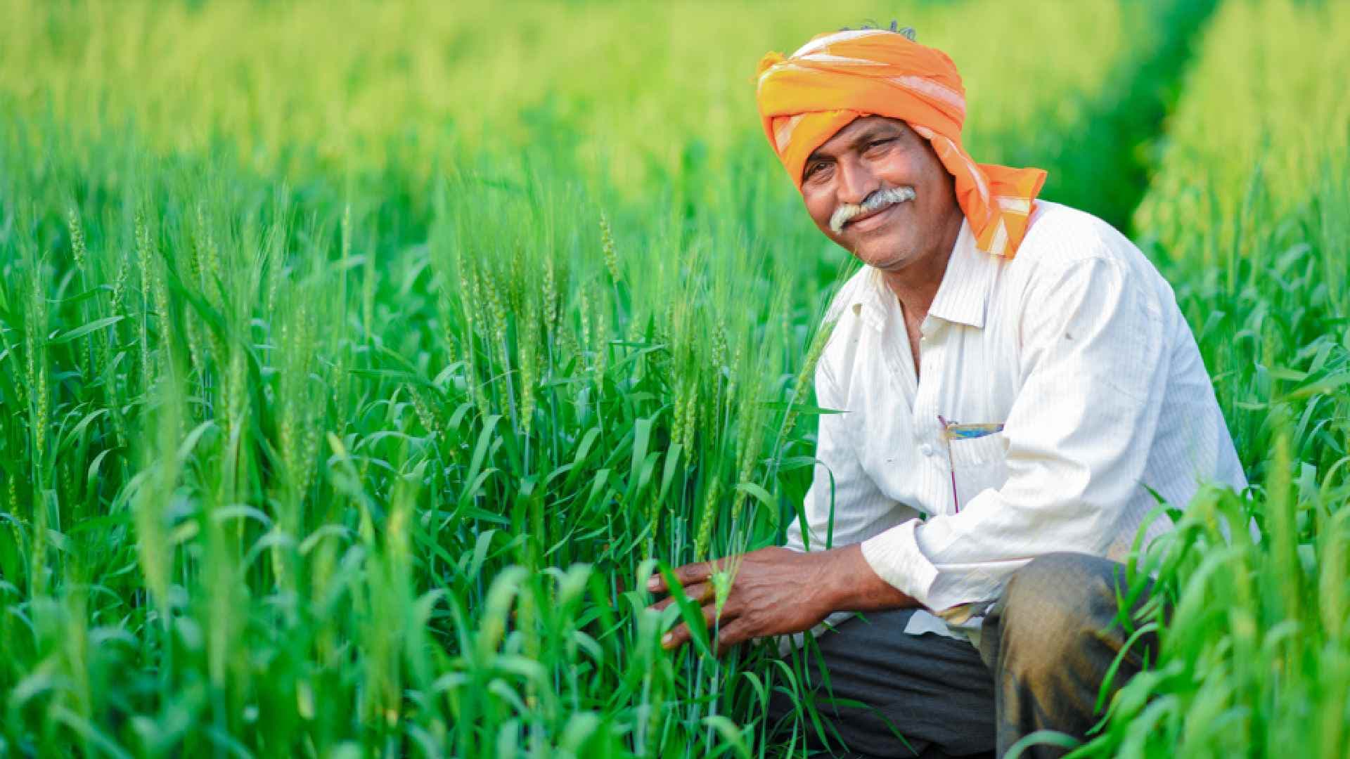 Odisha Simplifies Farmer Registration, Cracks Down on Fake Farmers