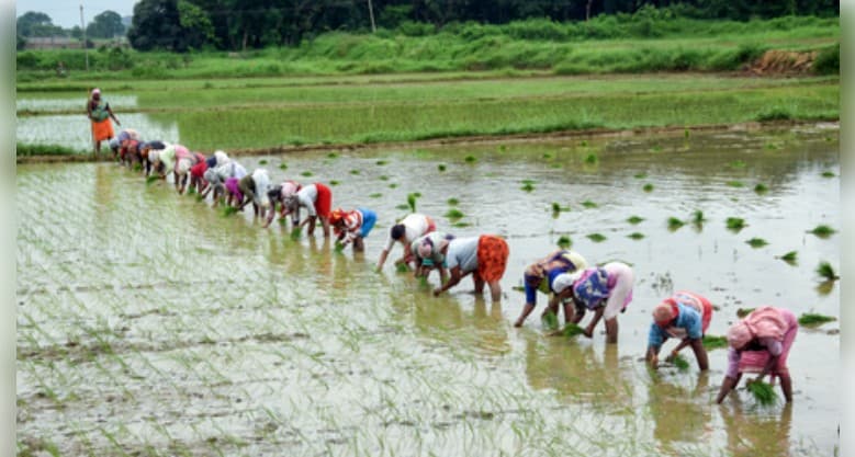 India-UK FTA Opens $37.5 Billion Market For India’s Farmers, More Jobs For Youths