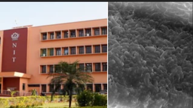 NIT Rourkela Secures Patent for Eco-Friendly Biofilm Technology to Degrade Toxic Industrial Pollutants